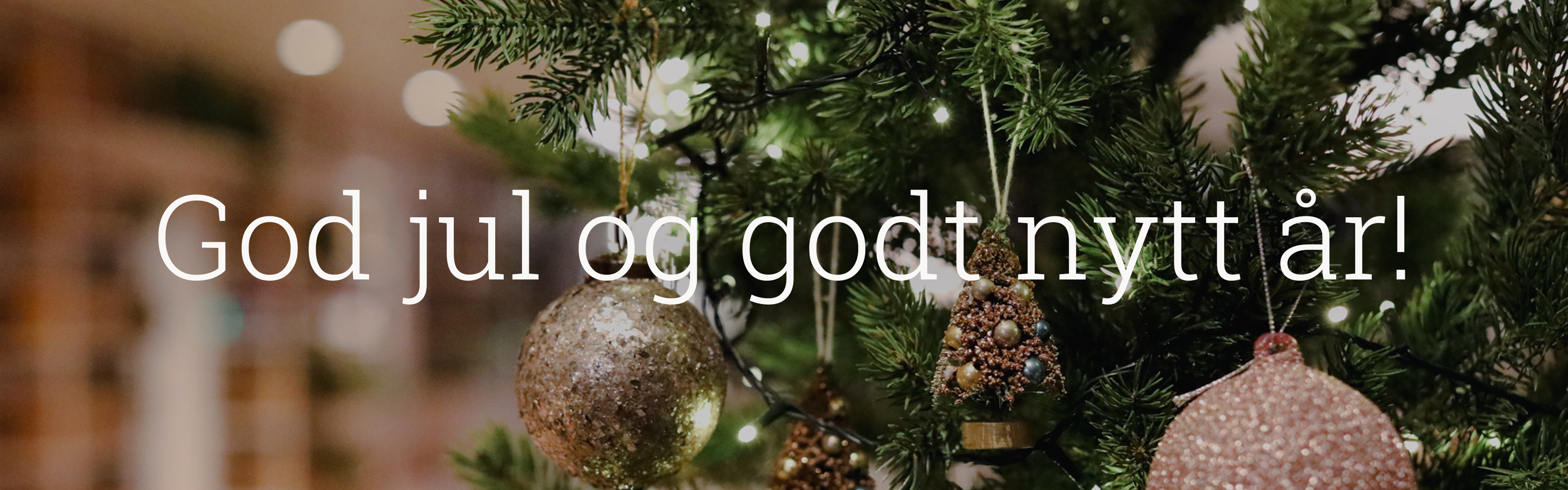 Banner godjul 3
