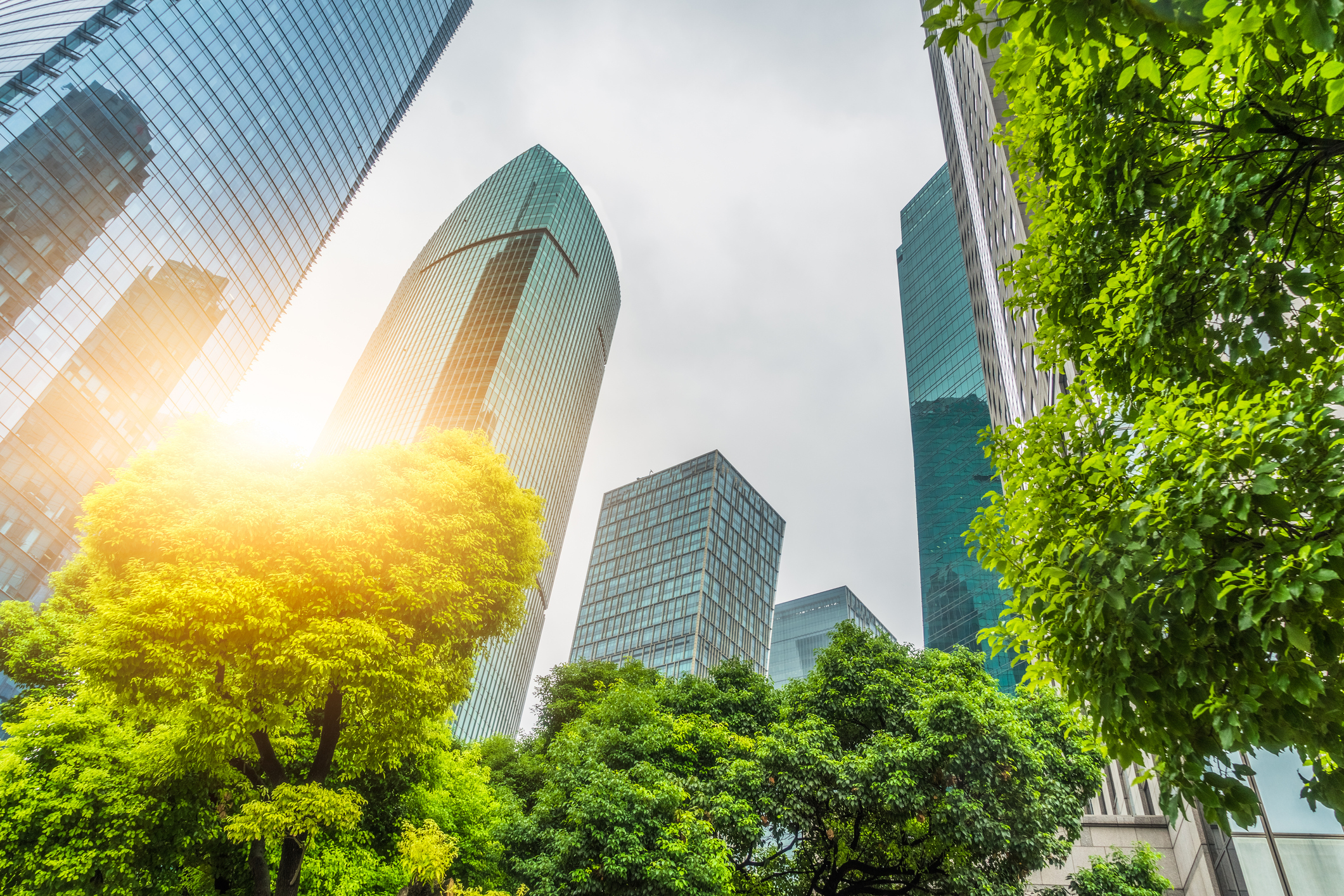 Corporate Forum for Sustainable Finance
