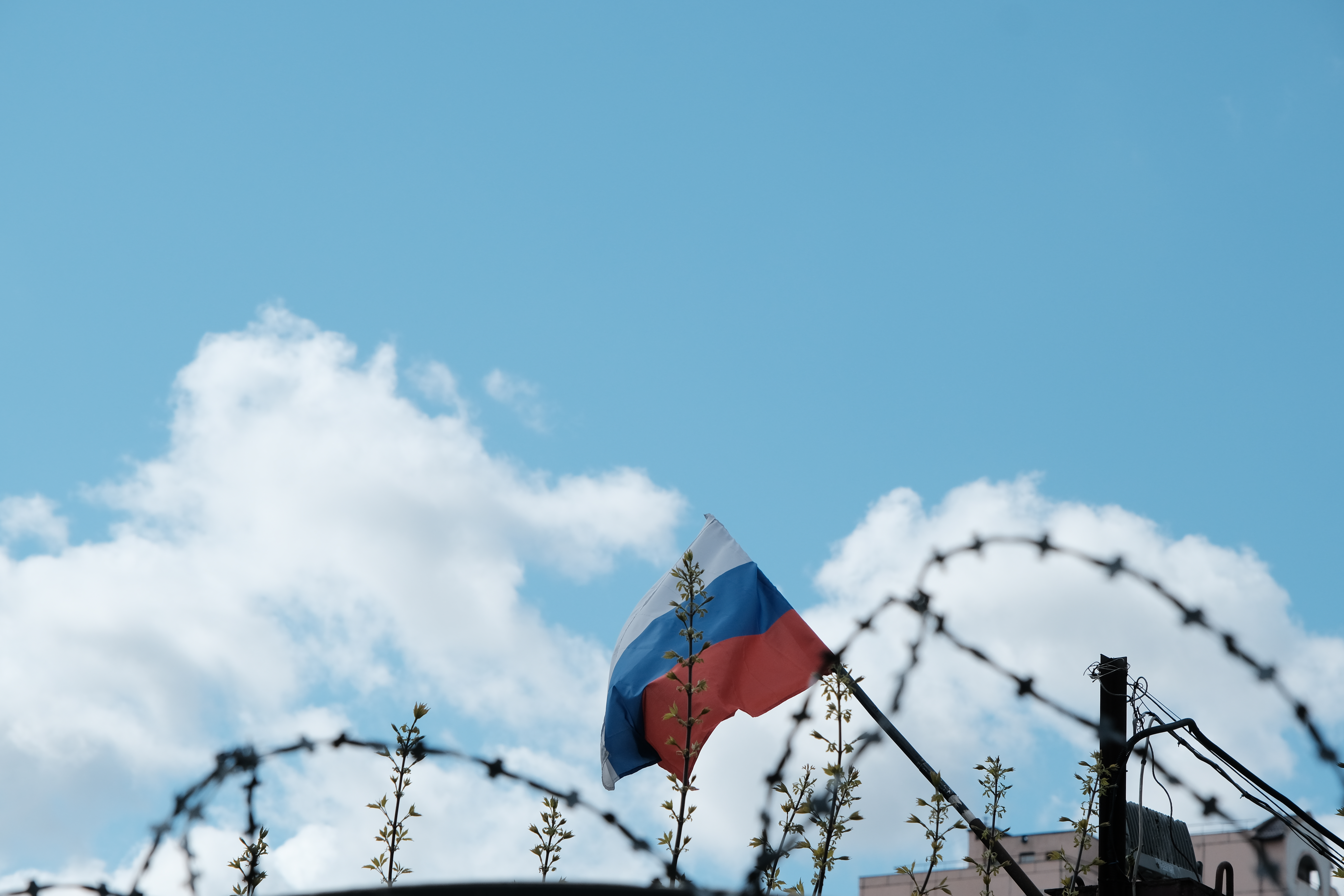 GETTYIMAGES 1314755602