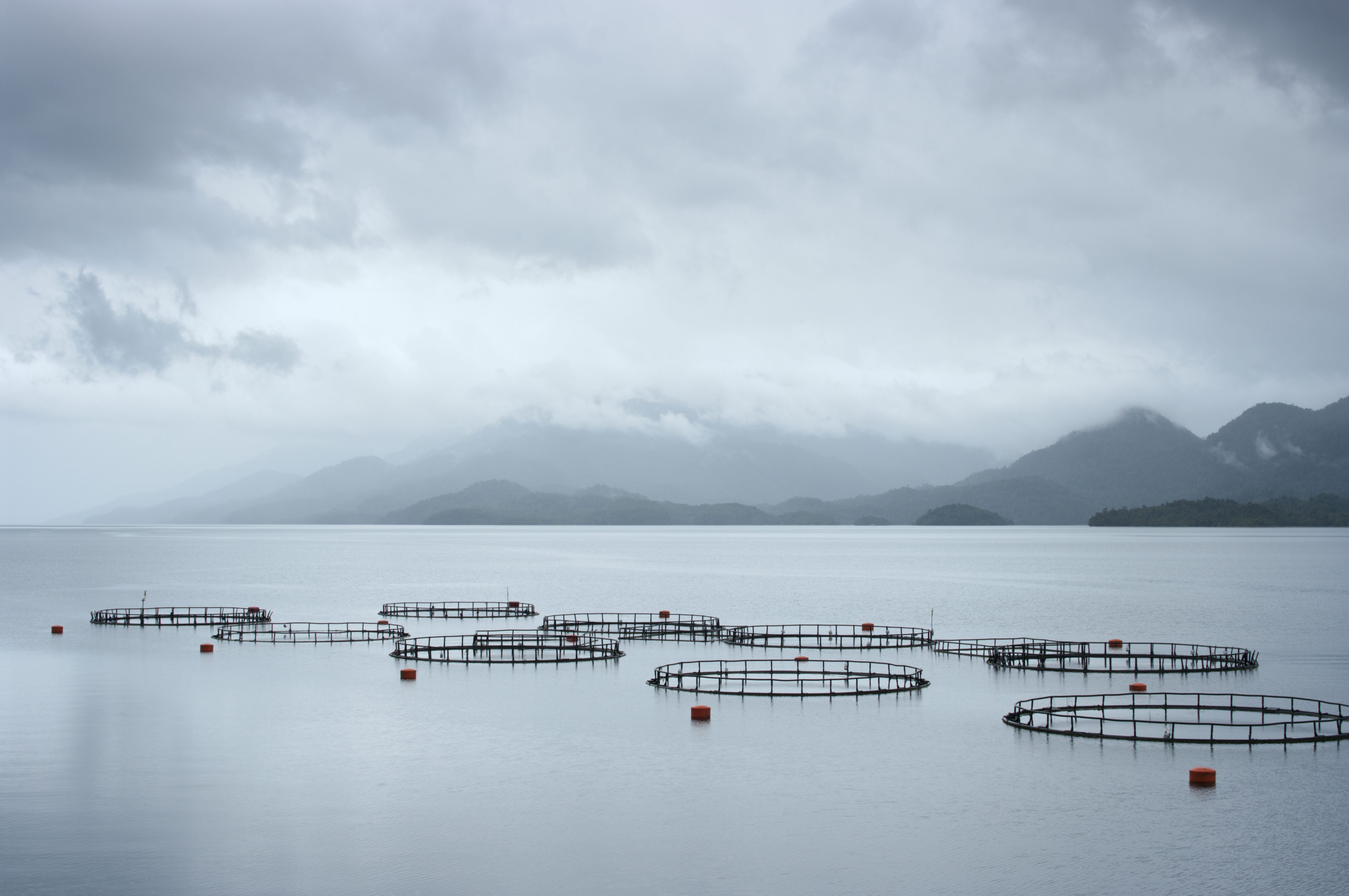 GETTYIMAGES 155071749