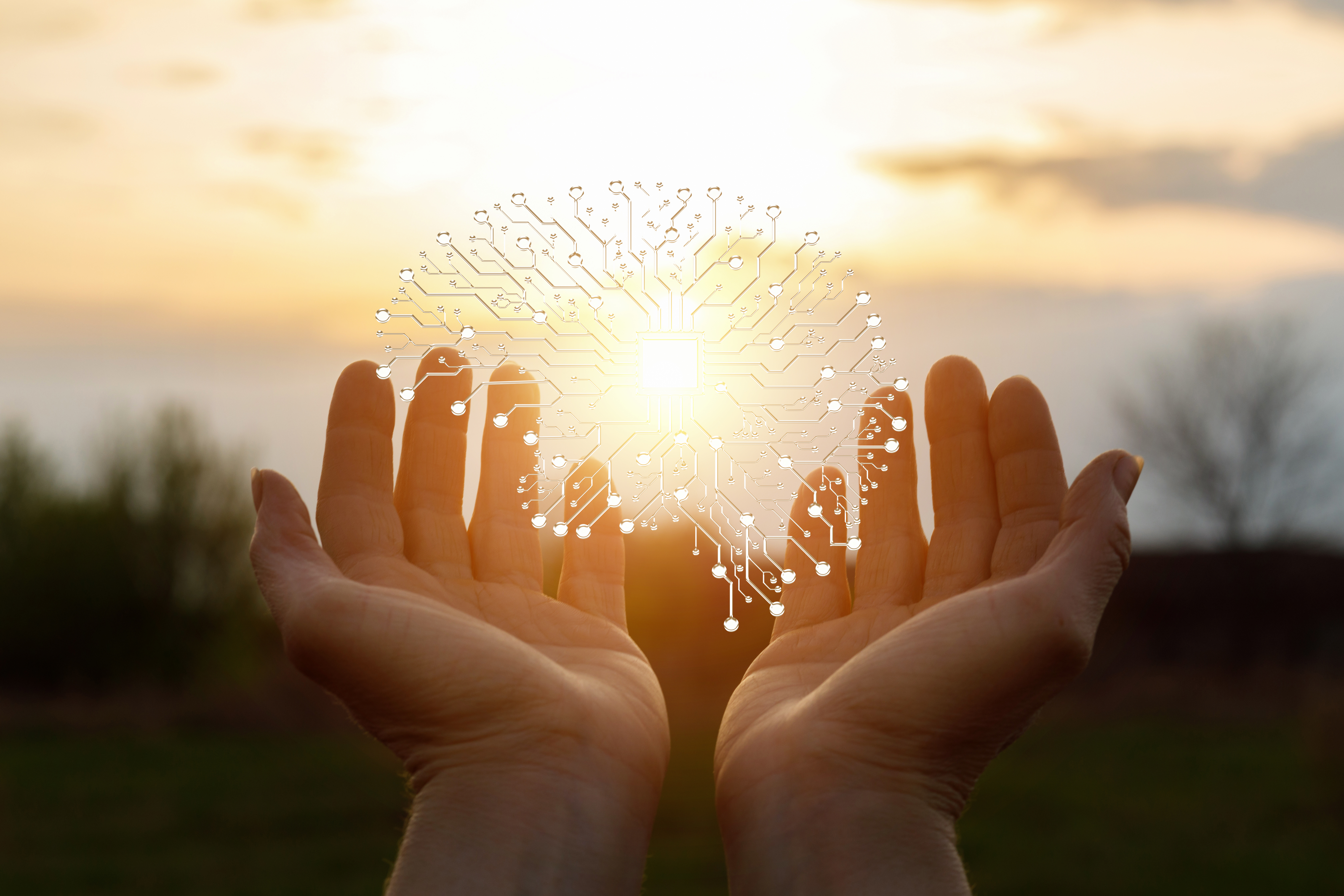 Getty Images 1145969199