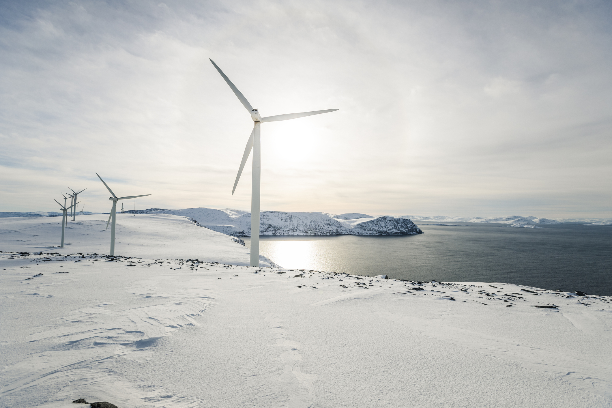 Getty Images 1170634701