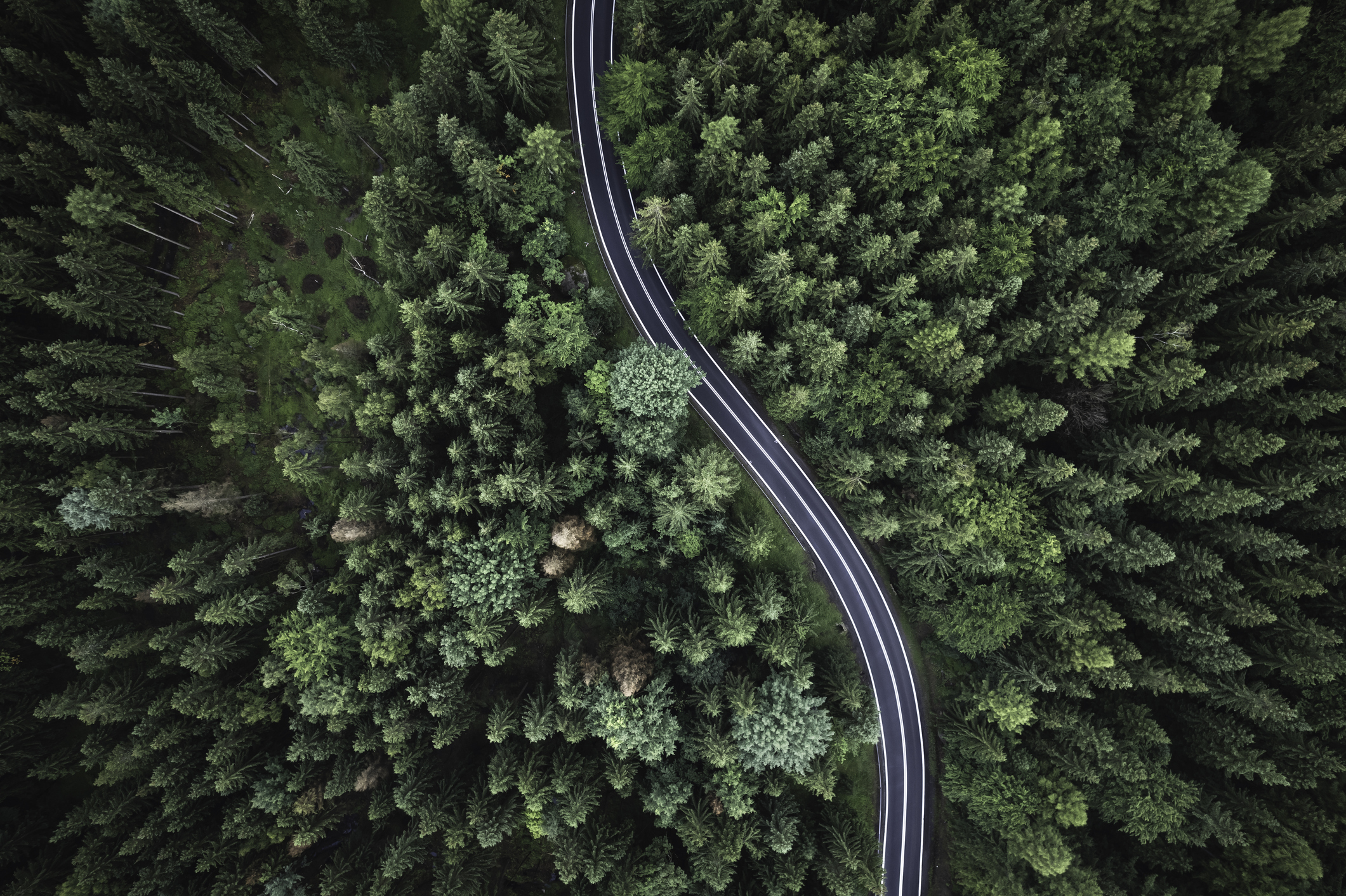 Getty Images 1750688076