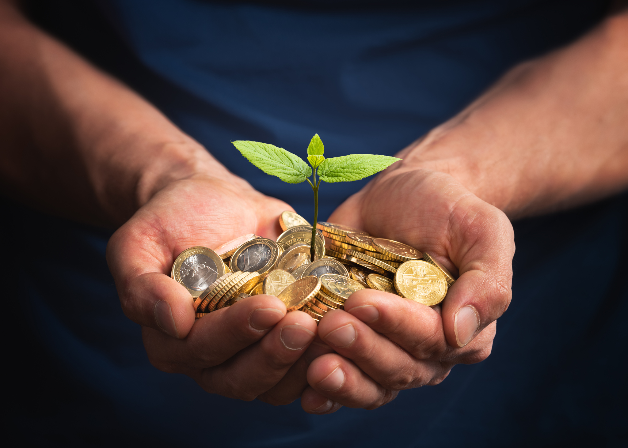 Green Bond Principles