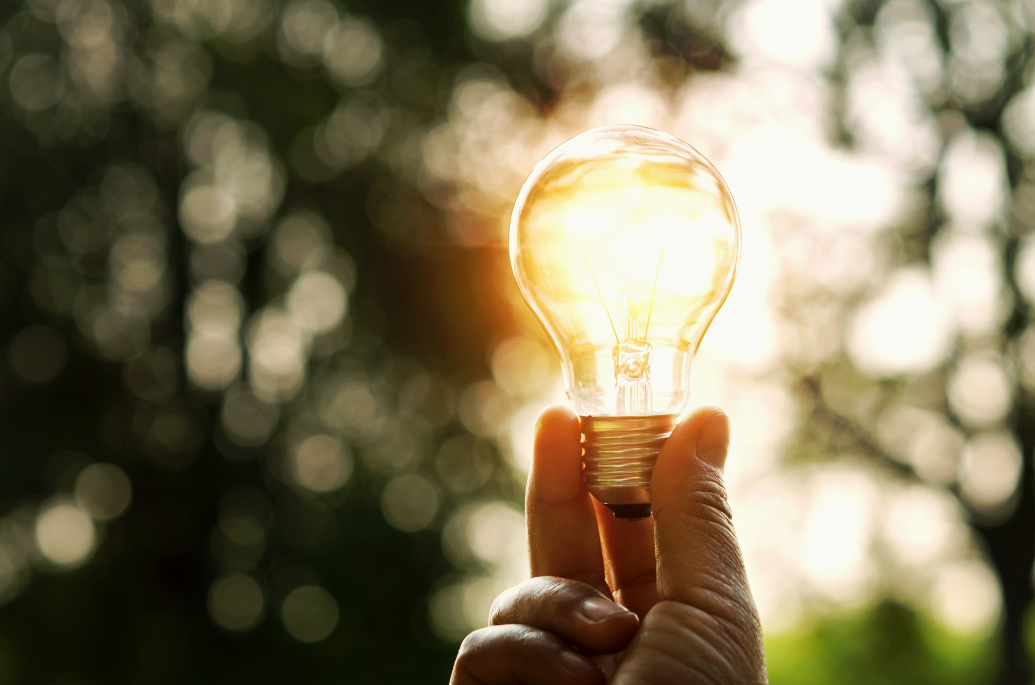 Green Loan Principles