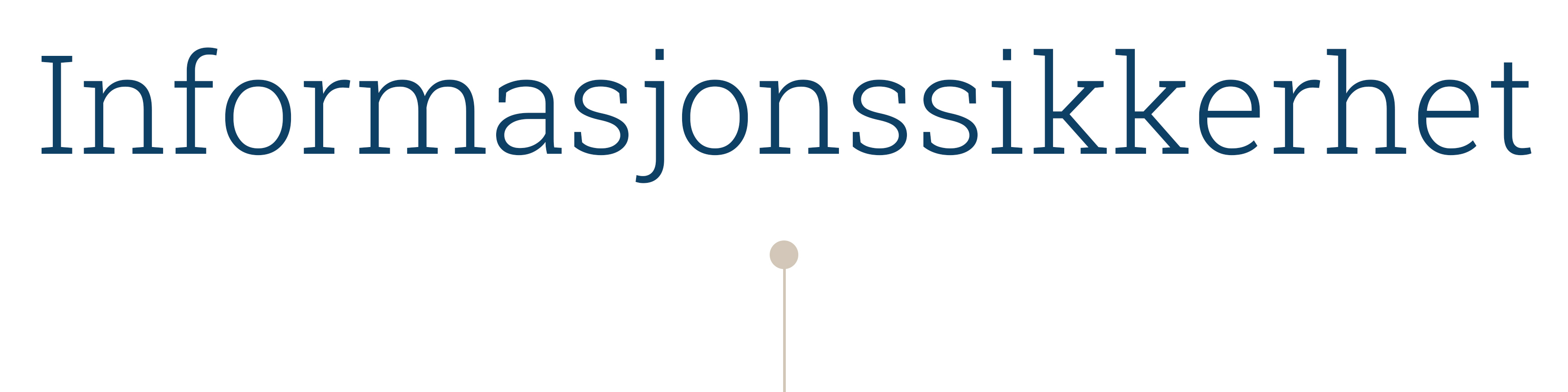 Informasjonssikkerhet