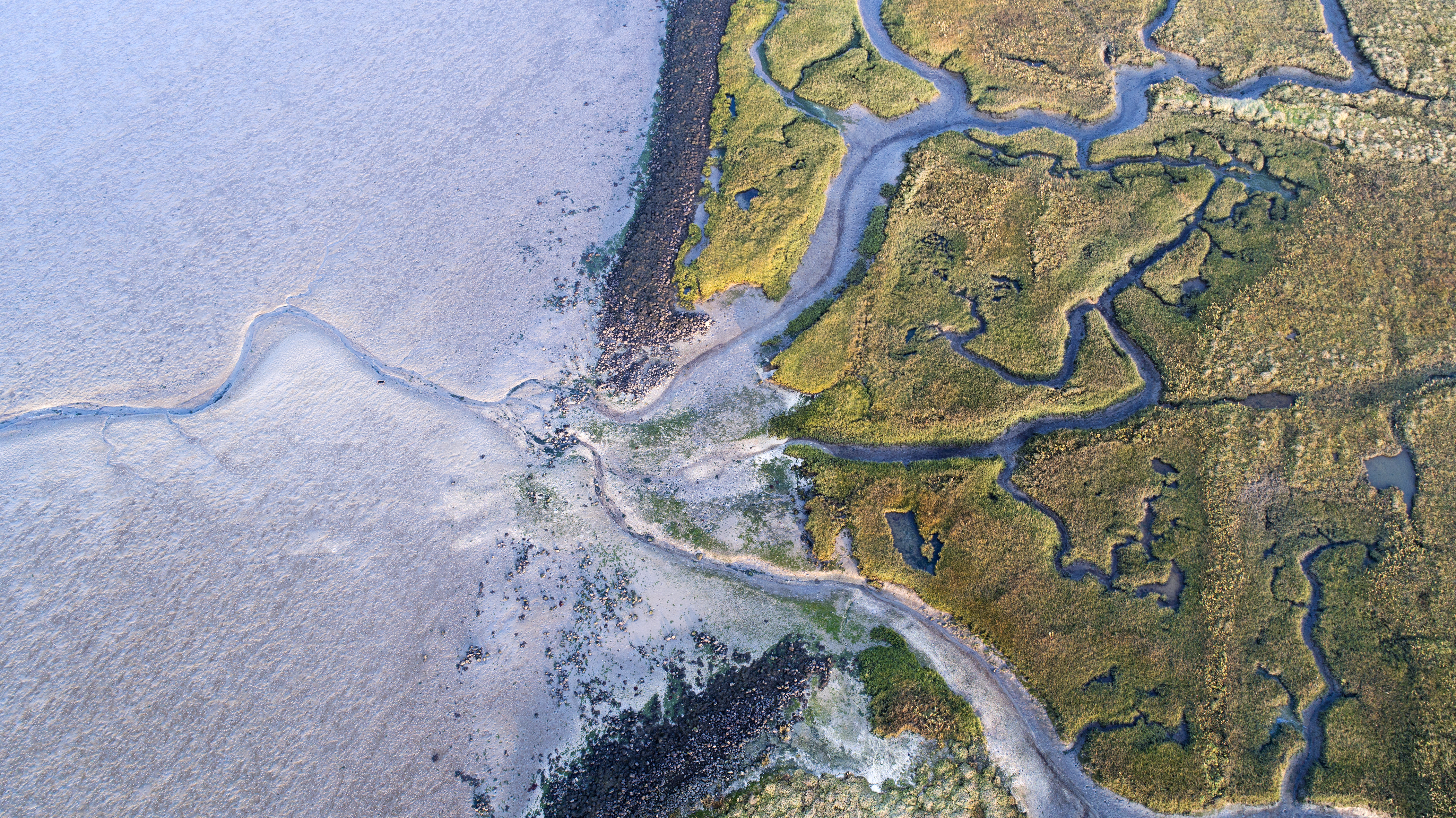 Institutional Investors Group for Climate Change IIGCC