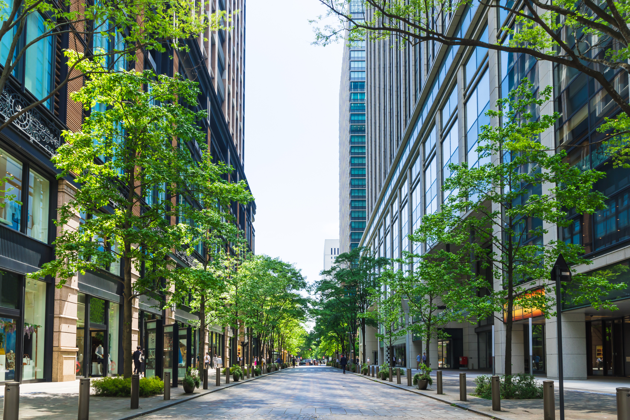 Sustainability Linked Loan Principles