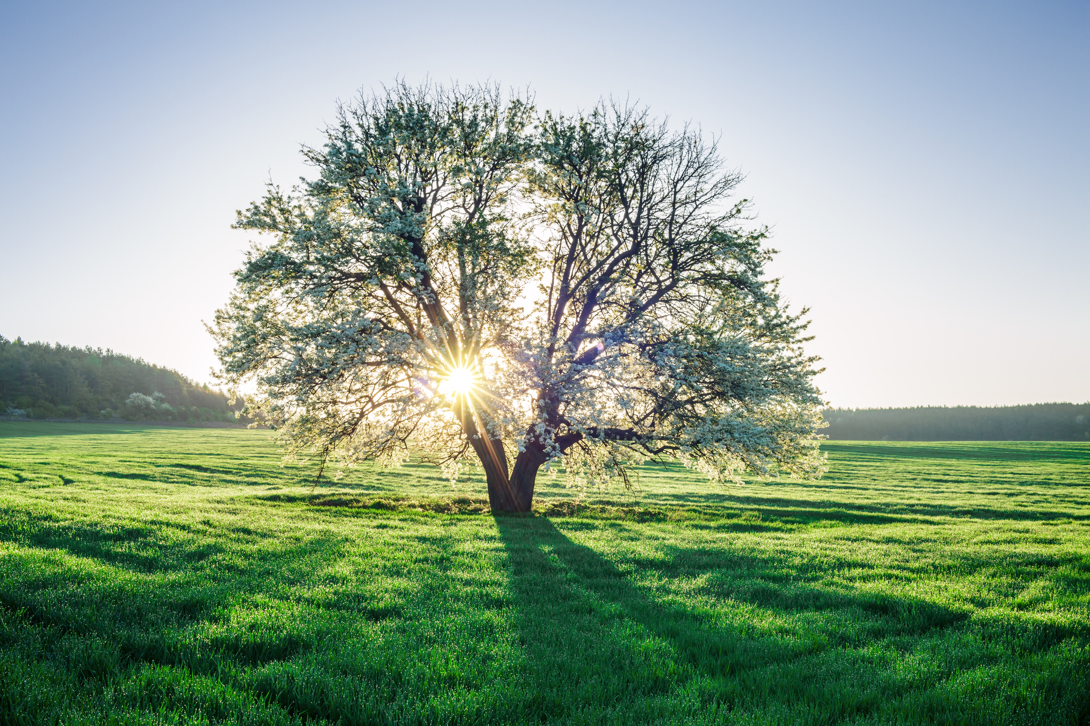 UN Sustainable Development Goals