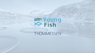 Youngfish grunnrenteskatt5